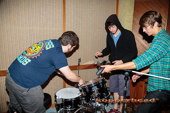 12254 10 2013 Kopperhead
