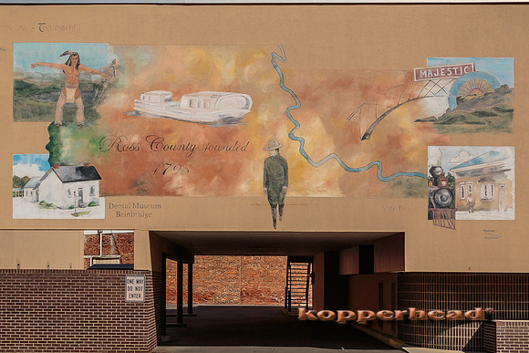 26282 09 2014 Kopperhead