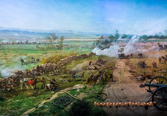 22316p 06 2014 Kopperhead
