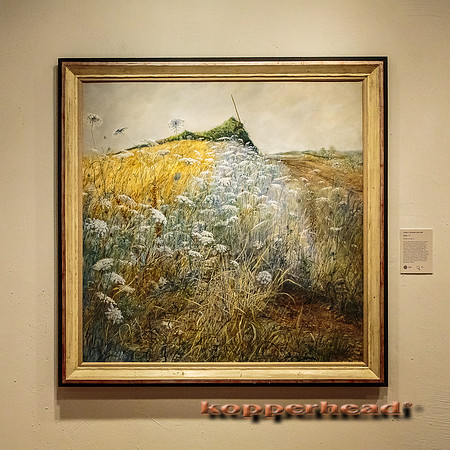 22283 06 2014 Kopperhead