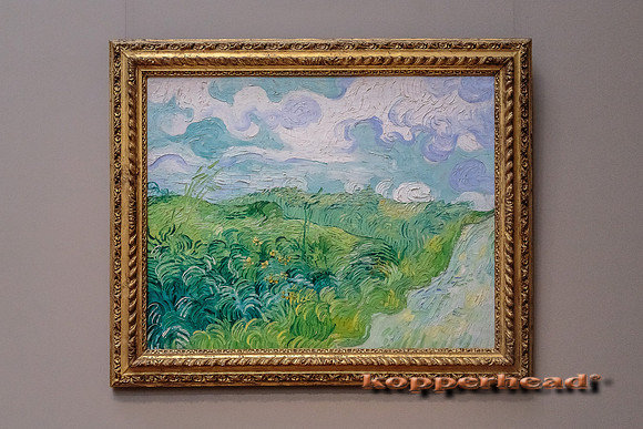 21875 06 2014 Kopperhead