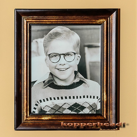 15868 01 2014 Kopperhead
