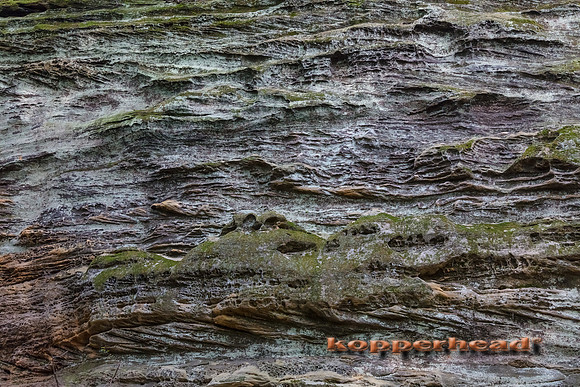 12216 10 2020 Kopperhead