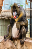 Cleveland Zoo 092119