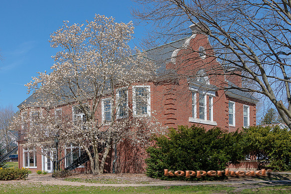 36832 04 2022 Kopperhead