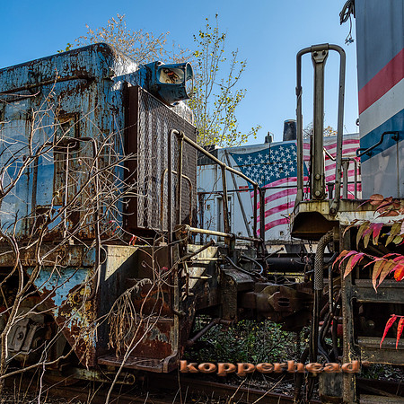 12811aH 10 2020 Kopperhead