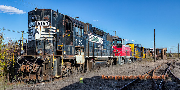 12886aH 10 2020 Kopperhead