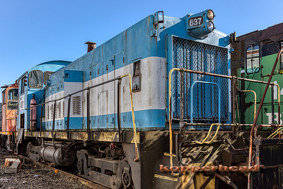 12821aH 10 2020 Kopperhead