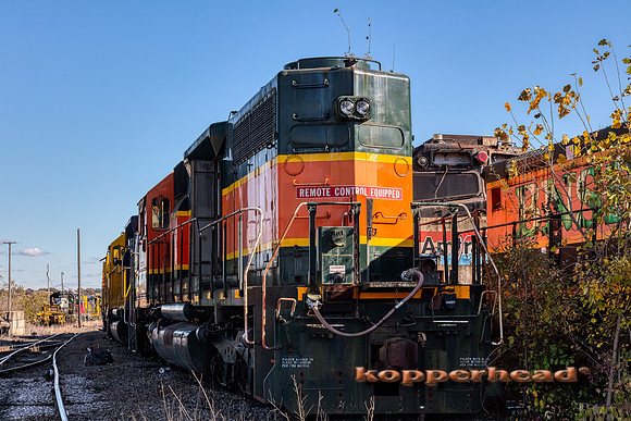 12859aH 10 2020 Kopperhead