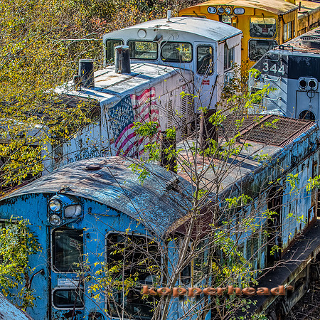 12754aH 10 2020 Kopperhead