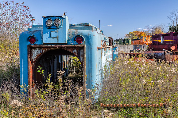 12927aH 10 2020 Kopperhead