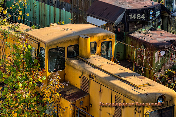 12795aH 10 2020 Kopperhead