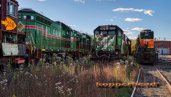 12899aH 10 2020 Kopperhead