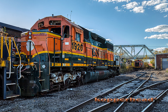 12930aH 10 2020 Kopperhead