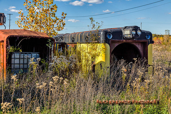 12926aH 10 2020 Kopperhead