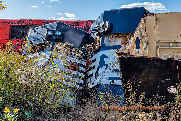 12928aH 10 2020 Kopperhead