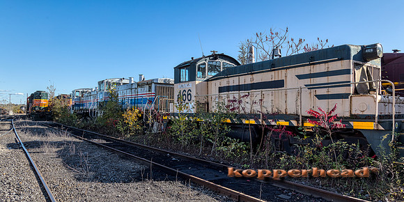 12839aH 10 2020 Kopperhead