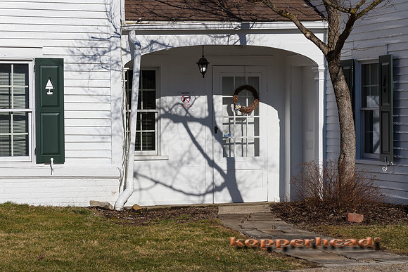 03199 03 2020 Kopperhead