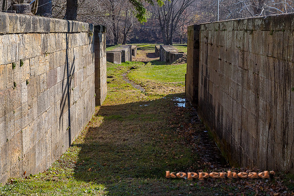 45510 11 2015 Kopperhead
