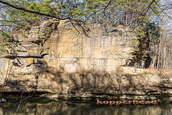45554 11 2015 Kopperhead