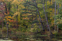 NE Ohio Fall Colors 2021