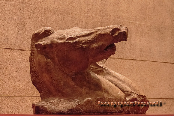 06478 07 2013 Kopperhead