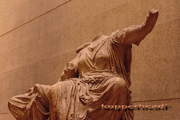 06477 07 2013 Kopperhead