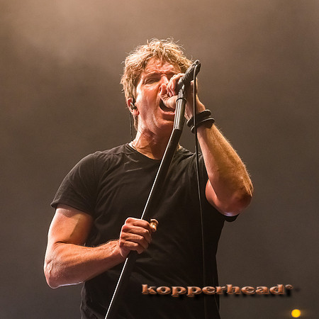 08137 07 2017 Kopperhead