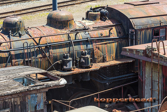 39674 06 2019 Kopperhead