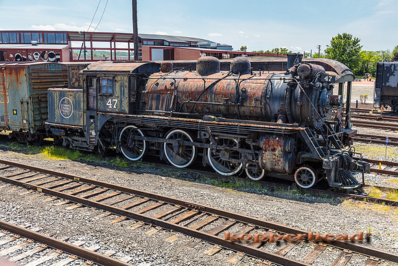 39696 06 2019 Kopperhead