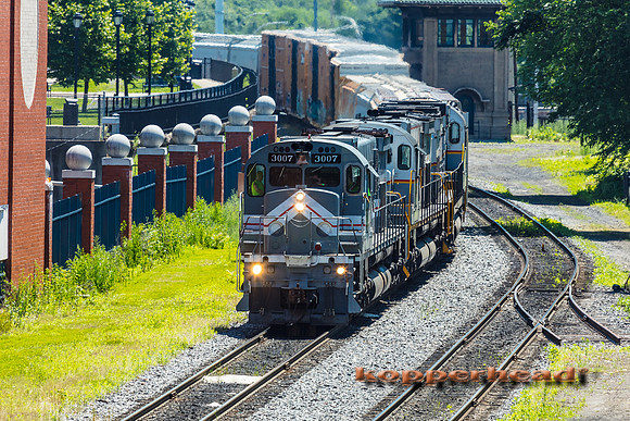 39684 06 2019 Kopperhead