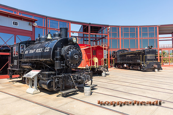 39622 06 2019 Kopperhead