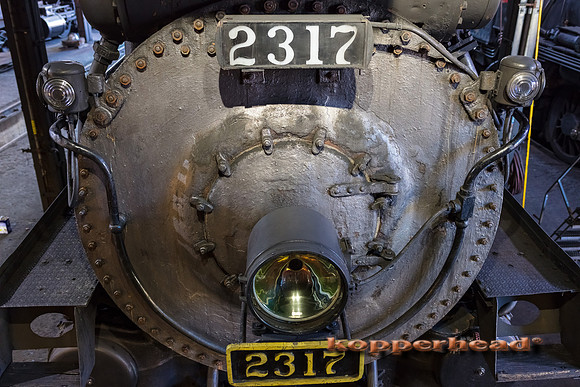 39776 06 2019 Kopperhead