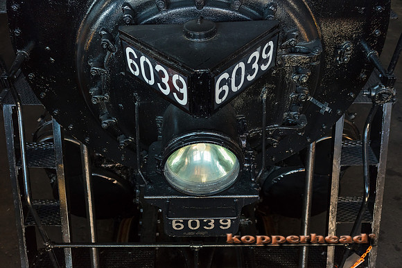 39779 06 2019 Kopperhead