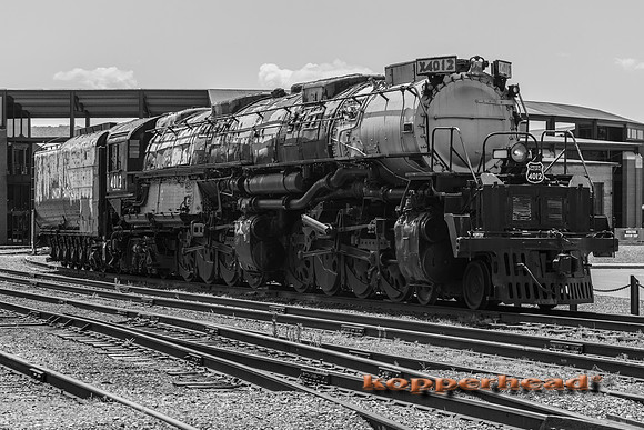 39667 06 2019 Kopperhead