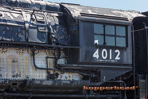 39666 06 2019 Kopperhead