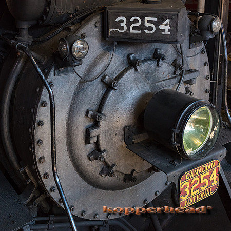 39606 06 2019 Kopperhead