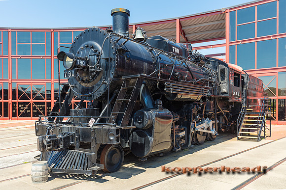 39635 06 2019 Kopperhead