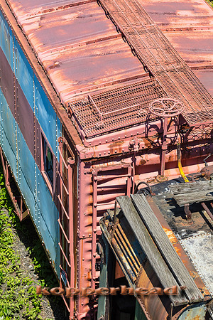 39680 06 2019 Kopperhead