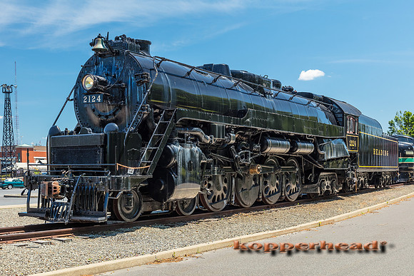 39749 06 2019 Kopperhead