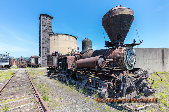 39652 06 2019 Kopperhead