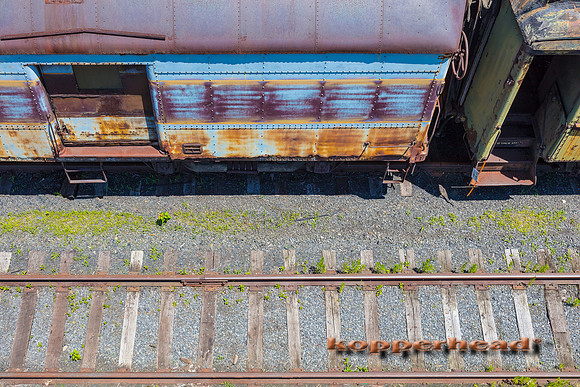 39690 06 2019 Kopperhead