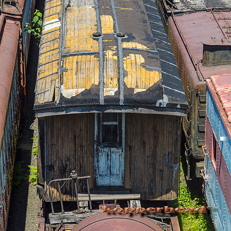 39681 06 2019 Kopperhead