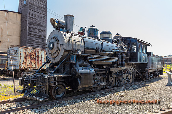39655 06 2019 Kopperhead
