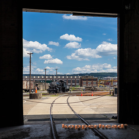 39764 06 2019 Kopperhead