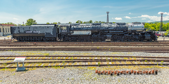 39724 06 2019 Kopperhead
