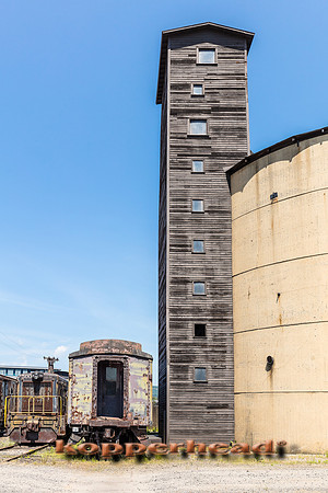 39646 06 2019 Kopperhead