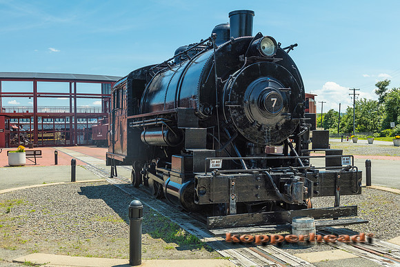 39755 06 2019 Kopperhead