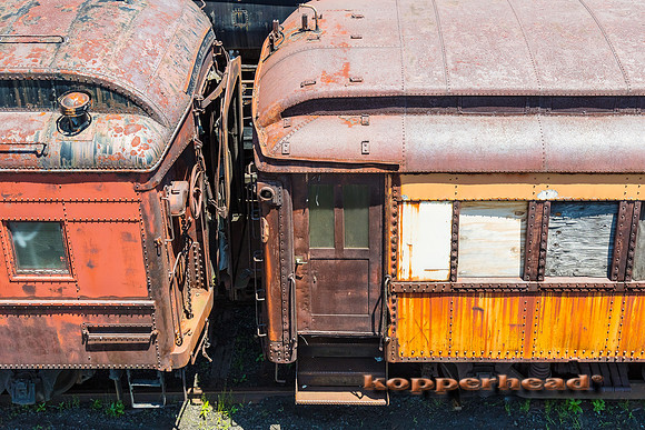 39694 06 2019 Kopperhead