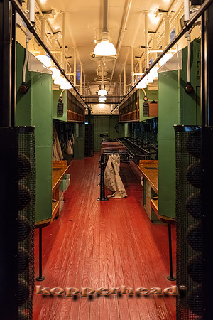 39781 06 2019 Kopperhead
